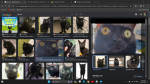 le epic black cat company