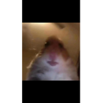 Xxgggianna