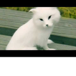I want to friends