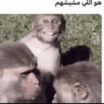 Group Thumbnail