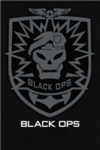black ops assault team (B.O.A.T)