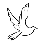 Birdy Fans