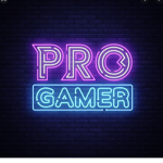 The Gaming Playz