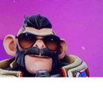 Monkeys Best