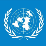 United Nations Joint Task Units