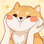 KJ_kitty