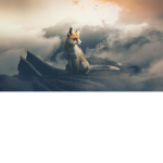 LolBit PlayzYoutube