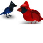 Birds United :)