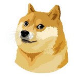 The Doge Syndicate