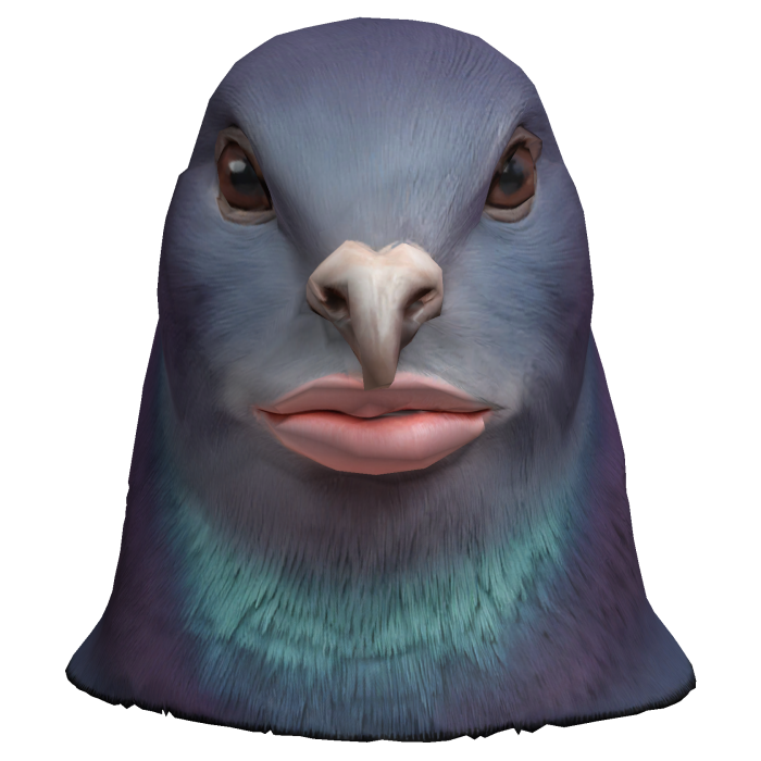 Cantina Pigeon