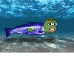 The Salmon Tsunami