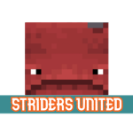 Striders United