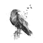 Crows [World Zero]