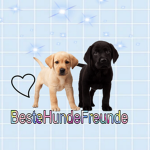 BesteHundeFreunde