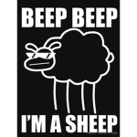 Beep Beep Were Pro's