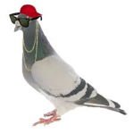 Pigeon Gamers