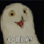 o rly team