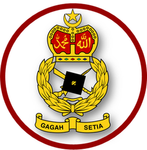 13th Hybrid Brigade