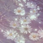 ~*Beauties*~