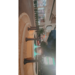 Tiktoksashay