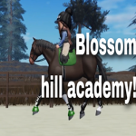 blossom Hill academy