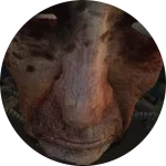 Become Super admin forever