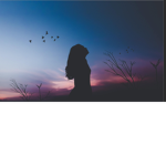 Amelia's YT group