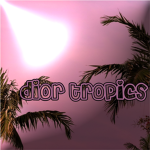 Dior tropics