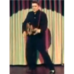 elvis presley biggest fan club