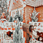 • Winter's Nature •