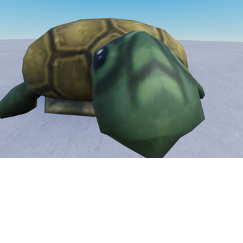 Turt