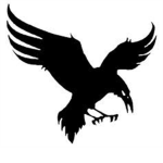 Raven®