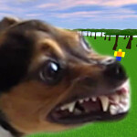 be a dog and get rabies