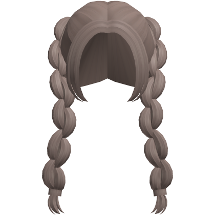 dust brown adorable picnic braids
