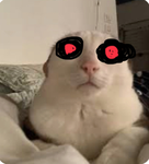 Weird cat dudes RULE