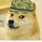 Doge Military Group!