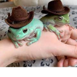 The very very swag people