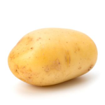 POTATO SQUAD GROUP HOOMANS