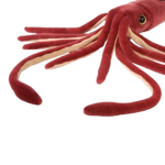 Squid squad only