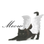 ghostedmeow