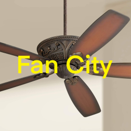 Fan City