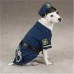 ROBLOX police!