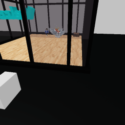 Black and white obby