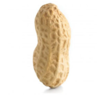 the peenut cult