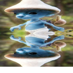 Smurf cat homies