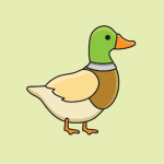 +~The Duck Squad~+