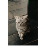 MrFluster123/