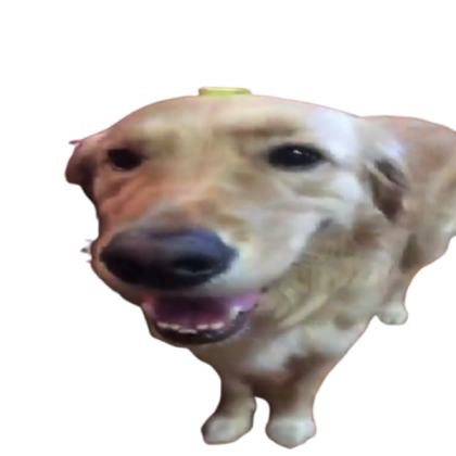 what the dog doin Roblox decal