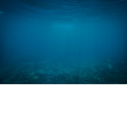 the dead sea