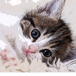 the cute cats Rodlox club